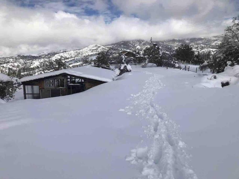 Walnut Cottage Badger Esterno foto