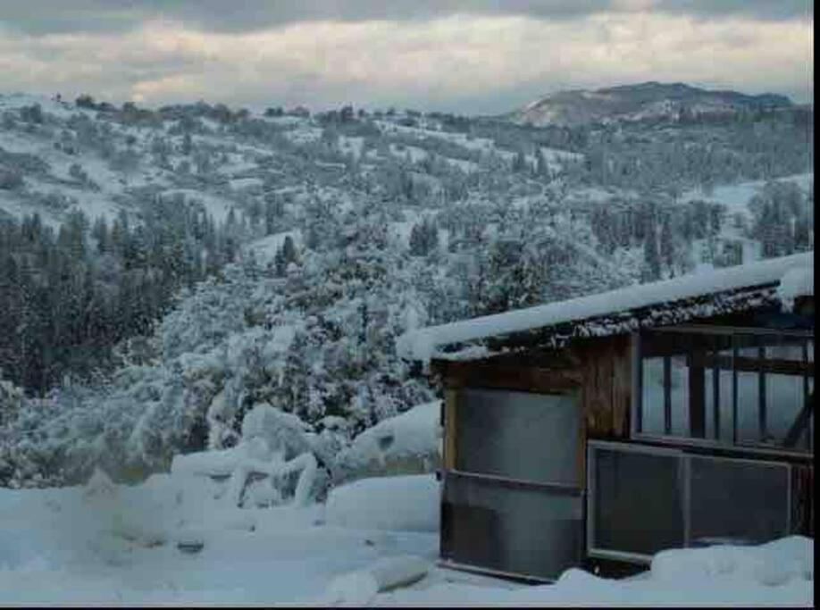 Walnut Cottage Badger Esterno foto