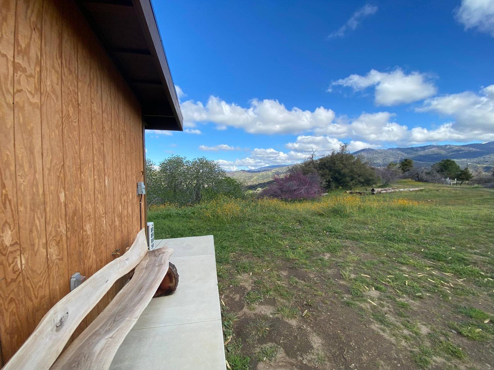 Walnut Cottage Badger Esterno foto