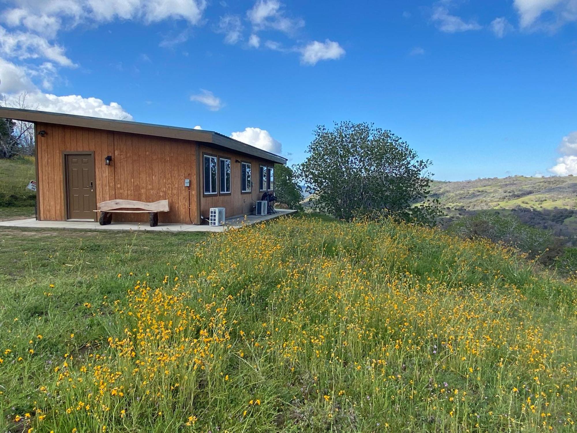 Walnut Cottage Badger Esterno foto
